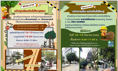 ส่วนพัฒนากายภาพจะดำเนินการ #ขุดล้อมต้นไม้ใหญ่ และ #ตัด_แต่งต้นไม้ใหญ่